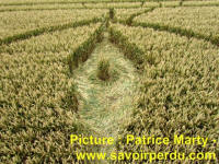Avebury Stone Circle, Wiltshire crop circle, aerial photo 65